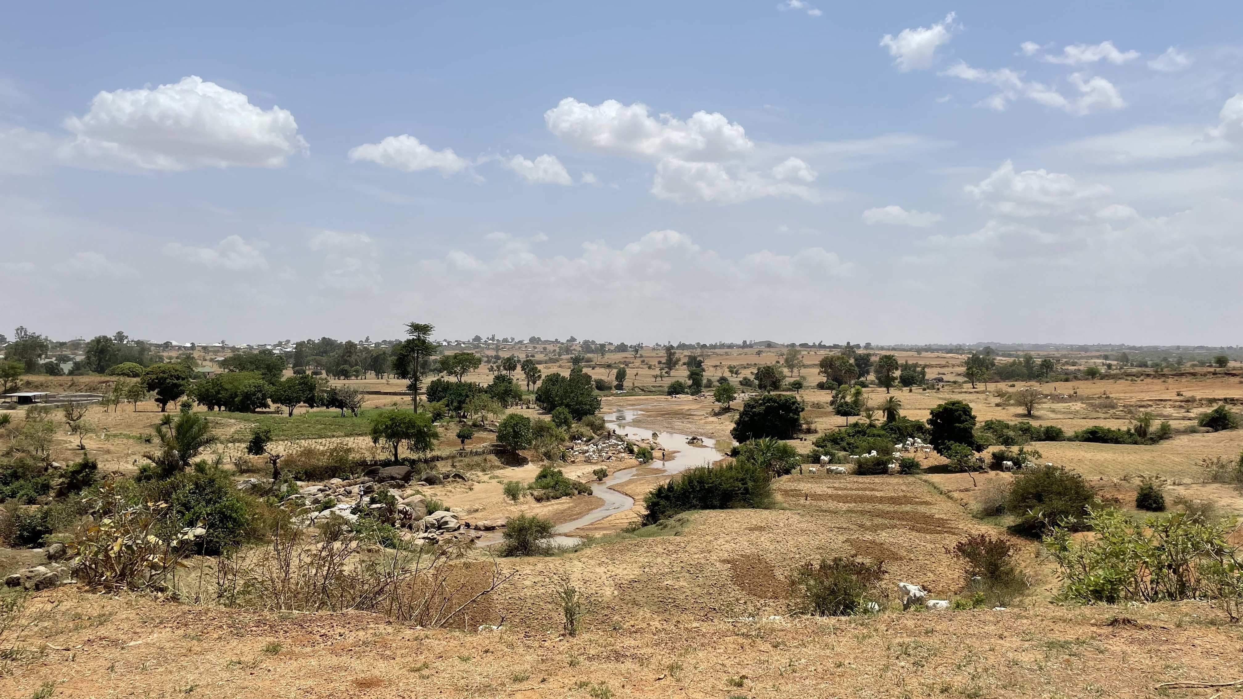 Description of image